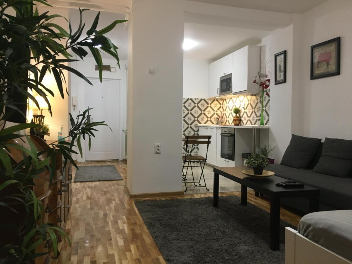 Apartament Axis Mundi Belgrad Zewnętrze zdjęcie